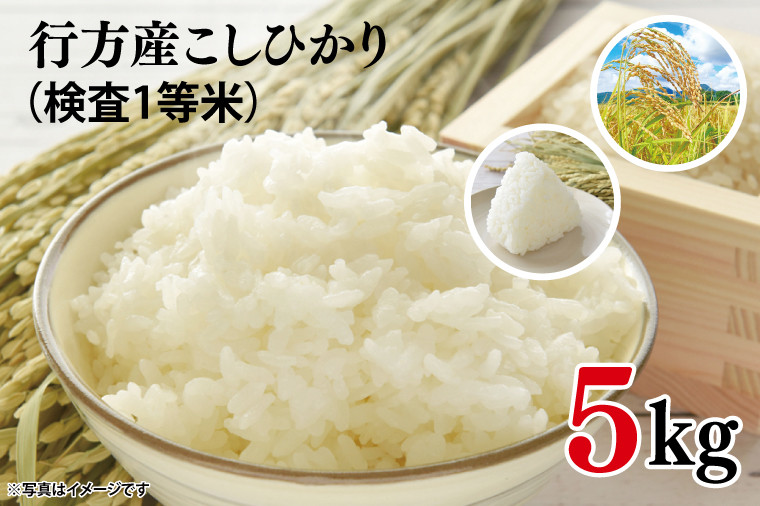 
            ★令和6年度産★行方産こしひかり 5kg(検査1等米)(CU-30-1)
          