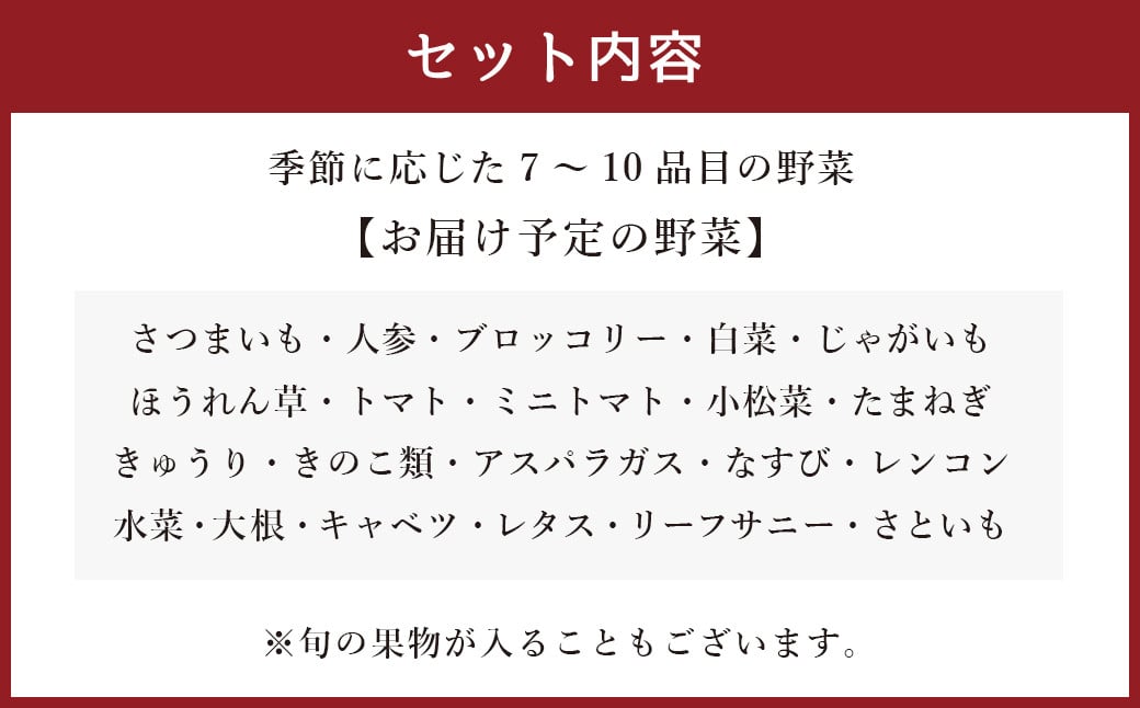 生産者応援 採れたて新鮮 旬のお野菜 詰め合わせセット