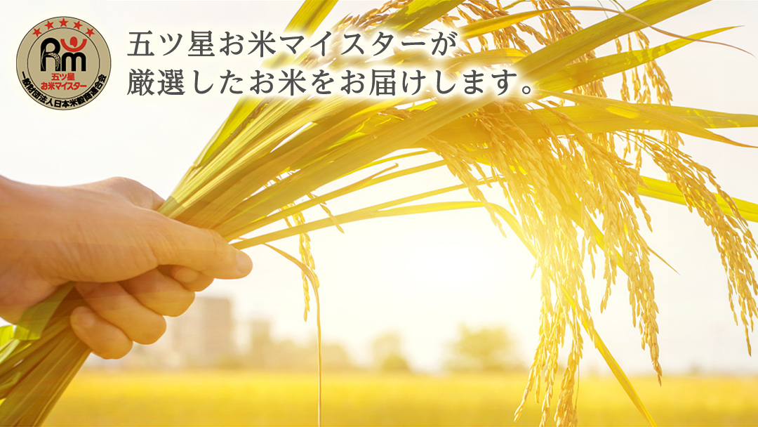《 令和7年産 》茨城県産 ミルキークイーン 10kg ( 5kg × 2袋 )  米 コメ こめ 五ツ星 高品質 白米 精米 お弁当 期間限定