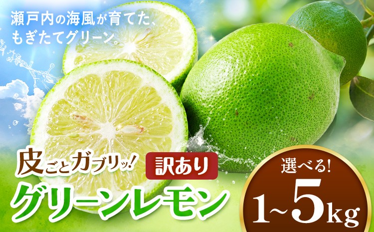 
                  【先行予約】皮ごとガブリ！ 三ツ山 グリーン レモン 訳あり 選べる 1kg 3kg 5kg 三ツ山レモンファーム《9月下旬-3月中旬頃出荷》岡山県 浅口市 れもん 檸檬 防腐剤不使用 ワックス不使用 送料無料
                