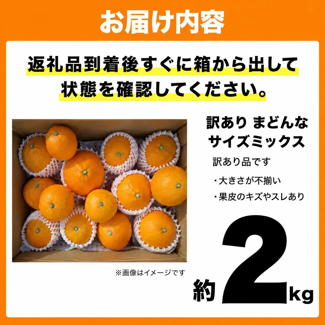 【紅まどんなと同品種】【訳あり】まどんな2kg 愛なんよ