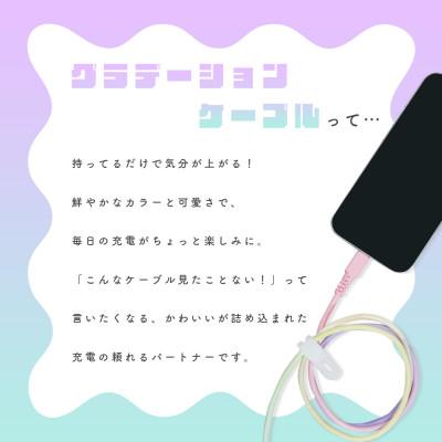 ふるさと納税 海老名市 グラデーションケーブル A to C 1m シャーベット(MOT-SCBACG100-SE) |  | 01