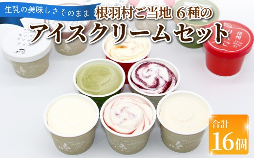 根羽村 ご当地６種のアイスクリームセット 16個 生ソフトクリームアイス バニラアイス 西尾抹茶 抹茶 りんご 紅ほっぺ いちご 苺アイス ブルーベリー フレーバー 詰め合わせ 10,000円