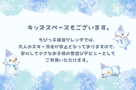 【2025-2026シーズン】八千穂高原スキー場　土日祝日限定　リフト１日券　ファミリーBセット（大人2名・子ども1名　計3名）　［AD-109］