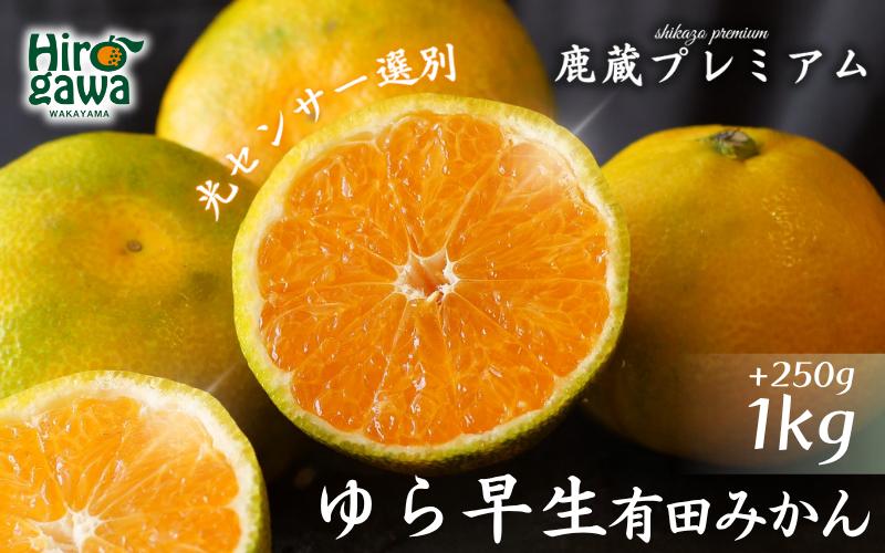 
                  鹿蔵 プレミアム 有田みかん ( ゆら早生 ) 1kg+250g（傷み補償分） 光センサー 選果　※北海道・沖縄・離島への配送不可 ※2026年10月上旬〜11月中旬頃に順次発送予定 / 温州みかん 秀品  柑橘  和歌山 【ikd003-prem-1A】
                