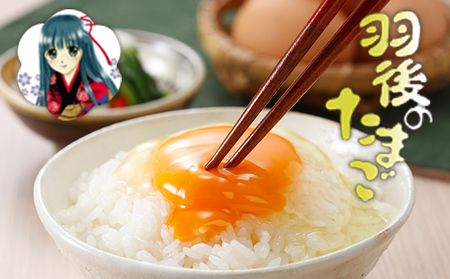 たまご羽後のたまご生卵たまご【30個(27個+補償3個)】