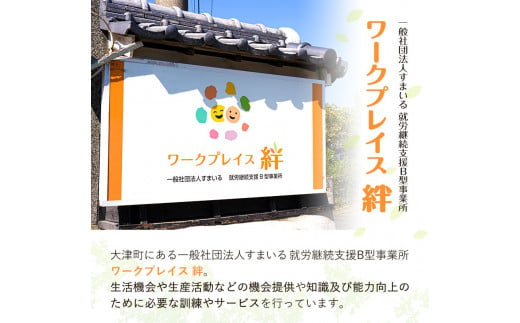 ブランド豚 えころとん使用 合計800g以上 一般社団法人すまいる ワークプレイス絆 《90日以内に出荷予定(土日祝除く)》---so_fkizuna1_90d_22_13500_800g---