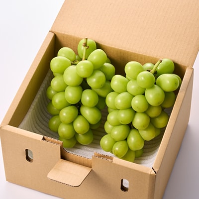 【2026年発送　先行受付】やみつきシャインマスカット 1.2kg (2～3房)【配送不可地域：離島】