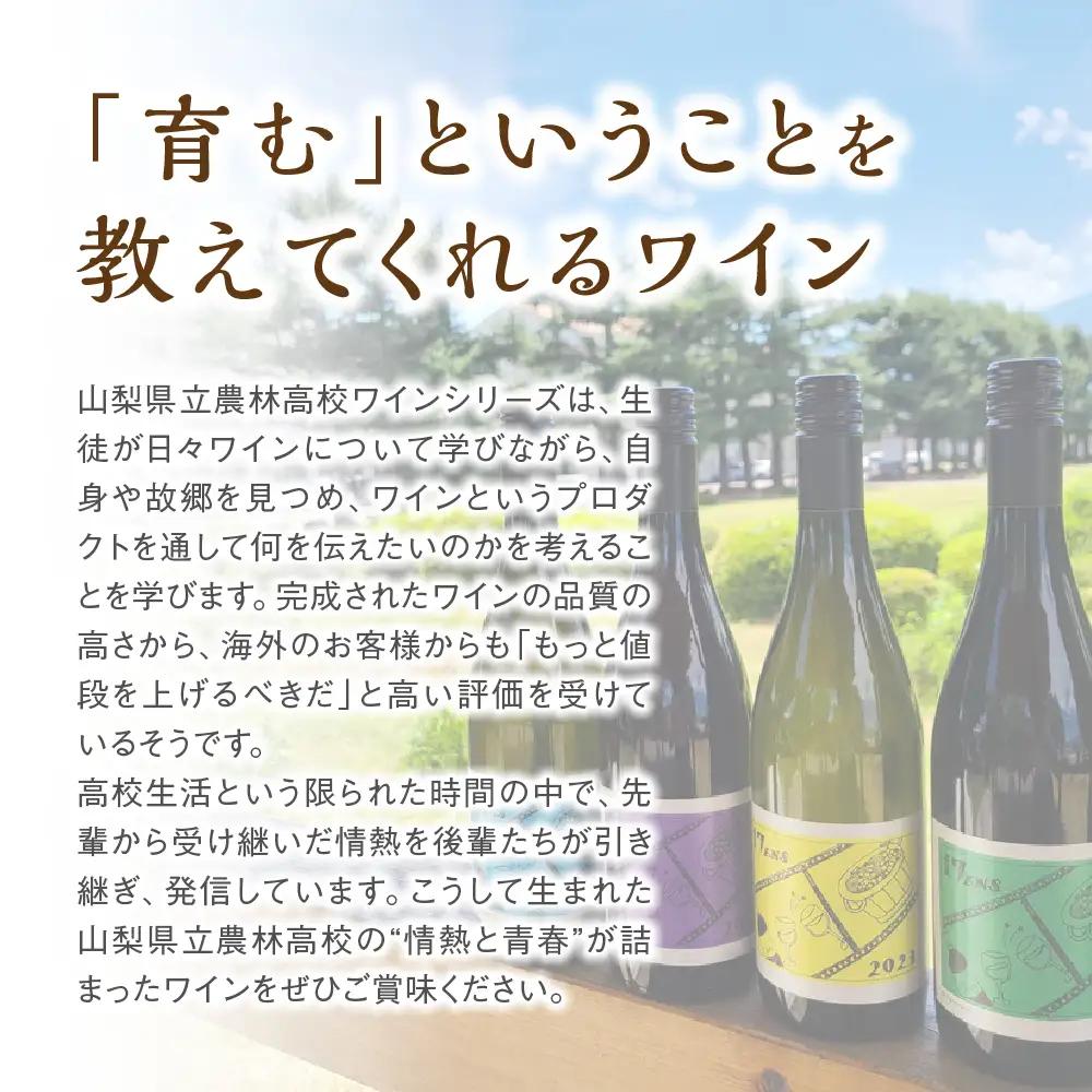 赤白ワイン 2本セット 農林高校ワイン 2024ヴィンテージ 