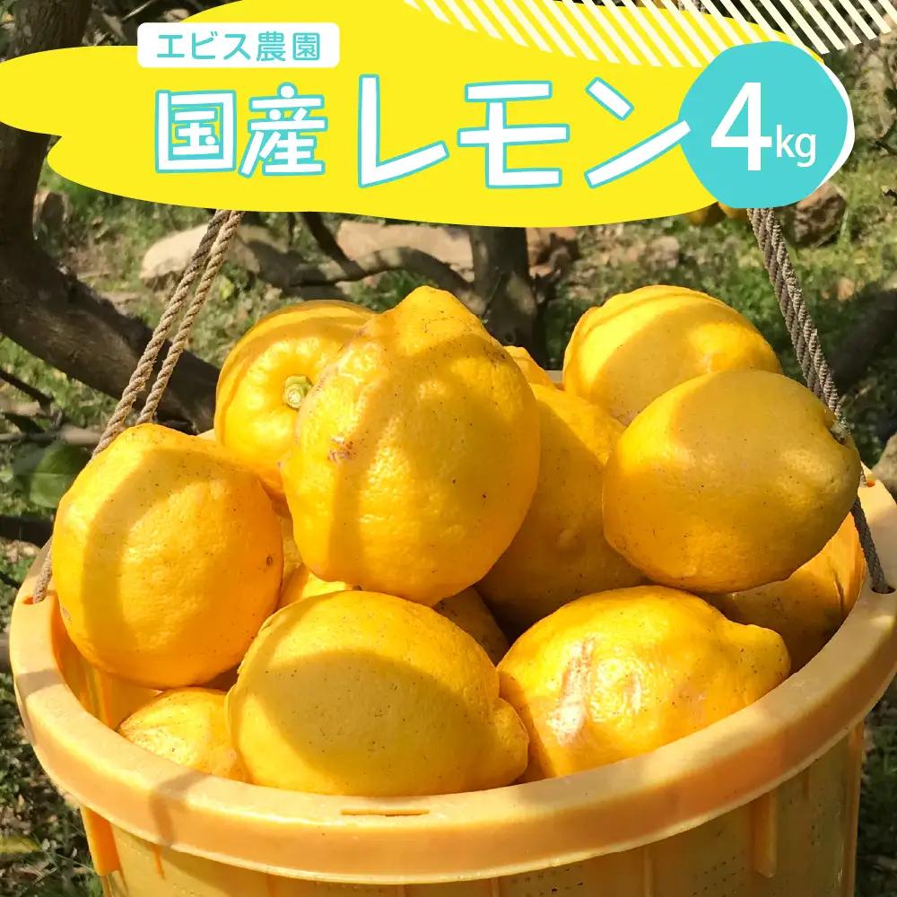 【先行受付】【2026年11月上旬～発送】【栽培期間中農薬不使用】有機JAS認証 皮まで美味しい！希少な国産オーガニックレモン 約4kg ku026-002-26