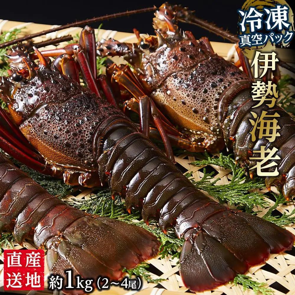 冷凍 伊勢海老 約1kg 2～4匹入り 伊勢海老