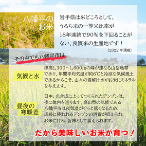 【2024年11月発送開始】 新米 岩手県産 いわてっこ 玄米 10kg （5kg×2袋） × 3ヶ月定期便 ／ 米 産地直送 農家直送 【中沢農産】