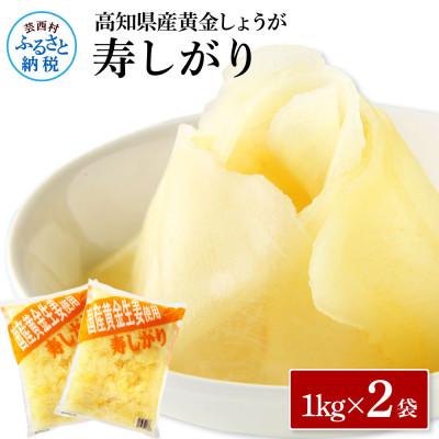 ふるさと納税 芸西村 国産黄金しょうが寿しがり　1kg×2袋【SNS015】