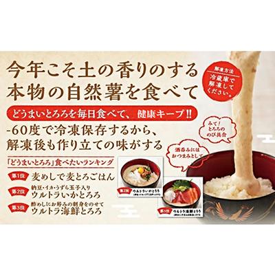 ふるさと納税 湖西市 どうまいとろろ　すりおろし&だし汁セット×2セット |  | 03