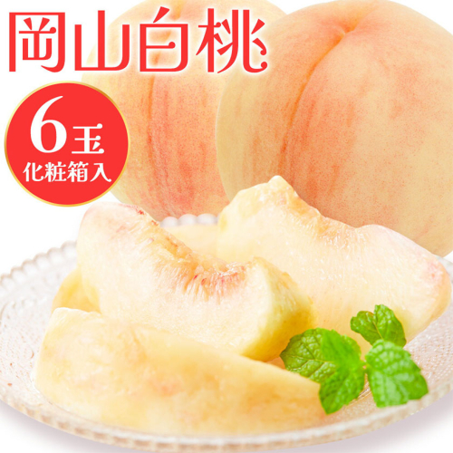 【2026年先行予約】白桃 6玉(1.6kg以上) 株式会社山博 (中本青果)《2026年7月上旬‐8月中旬頃出荷》岡山県 笠岡市 桃 もも フルーツ 旬 果物 国産 岡山県産 送料無料 冷蔵 化粧箱【配送不可地域あり】