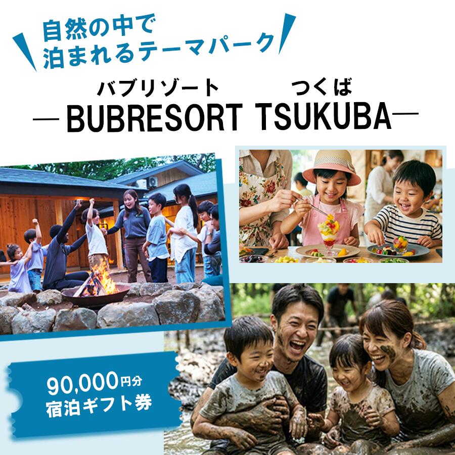 【ふるさと納税】BUB RESORT Tsukuba 利用クーポン券（90,000円分）家族で感動体験 | 茨城県 つくば市 グランピング キャンプ リゾート 体験 アクティビティ 宿泊 家族 子供 ファミリー 体験型 バブリゾート 宿泊券 宿泊チケット ホテル 宿