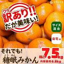 【ふるさと納税】訳あり それでも 熟成みかん 箱込7.5kg ( 内容量 6.8kg ) サイズミックス B品 有田みかん 和歌山県産 産地直送 家庭用 【みかんの会】 | 和歌山 フルーツ 果物 くだもの かんきつ 柑橘 柑橘類 みかんの会 送料込み 送料無料