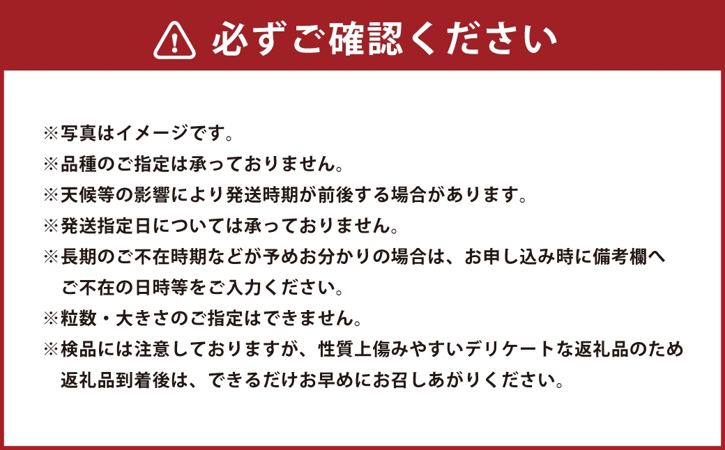 目利きが厳選熊本うまかもん定期便2回コース
