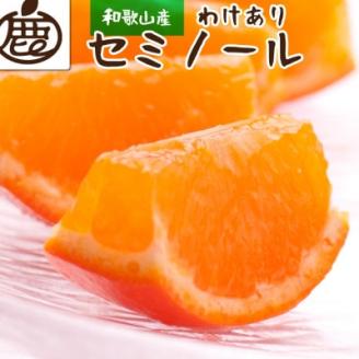 ＜4月より発送＞家庭用 セミノールオレンジ5kg+150g(傷み補償分)【光センサー】【わけあり】【配送不可地域：離島・北海道・沖縄県】