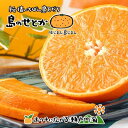 【ふるさと納税】 【3月上旬から発送】 せとか 約3kg 家庭用 愛媛 中島産 | みかん 愛媛 先行予約 柑橘 果物 くだもの フルーツ お楽しみ お取り寄せ グルメ 期間限定 数量限定 人気 おすすめ ギフト 愛媛県 松山市