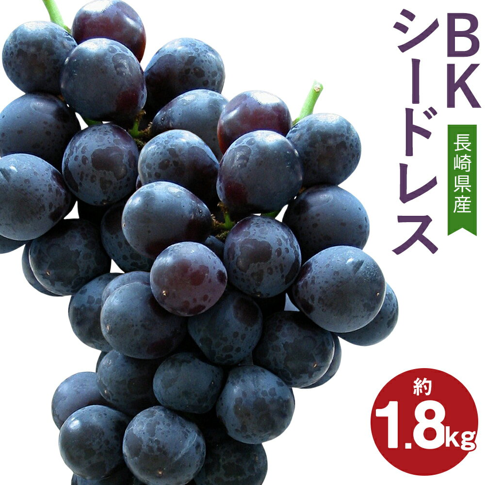 【ふるさと納税】先行予約 BKシードレス 約1.8kg 葡萄 ブドウ ぶどう フルーツ 果物 果実 ギフト 長崎県産 送料無料【2026年8月下旬～9月上旬に順次発送予定】