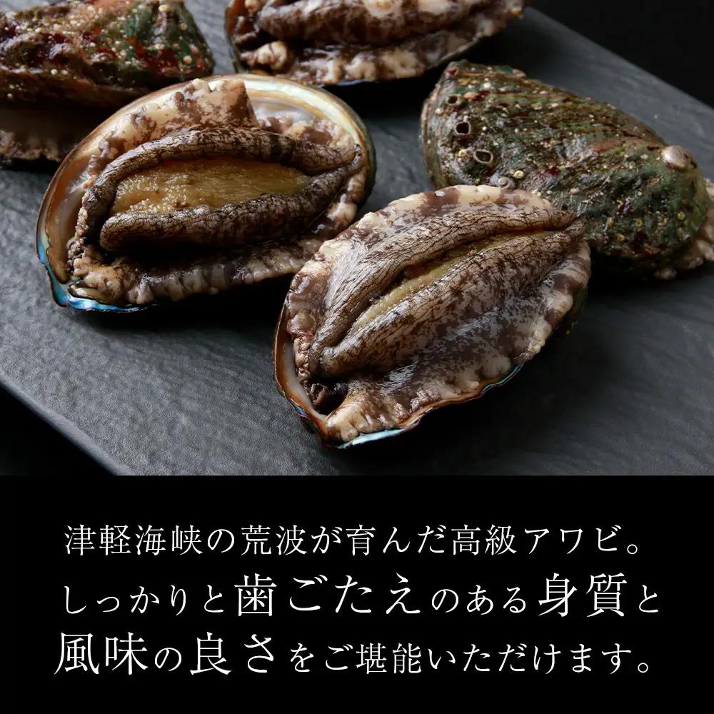 〈2026年12月発送予約〉北海道 知内産 天然かつあわび約1kg（M～L詰め合わせ）≪上磯漁業協同組合≫