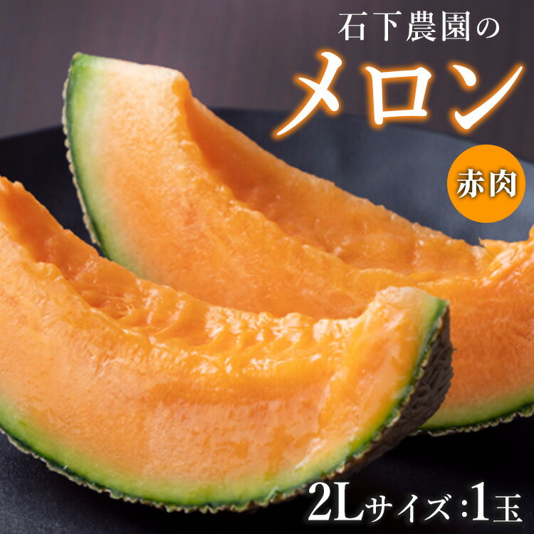 【ふるさと納税】【先行予約】石下農園のクインシーメロン 赤肉 2Lサイズ 1玉 ｜ 果物 くだもの フルーツ メロン 国産 クインシーメロン 赤肉 赤肉メロン 大玉 旬 期間限定 季節限定 夏季限定 産地直送 栃木県 ※2026年5月下旬頃～6月下旬頃に順次発送予定※離島への配送不可