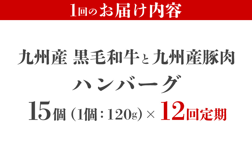＜定期便・全12回＞九州産黒毛和牛と九州産豚肉 ハンバーグ 15個セット | 国産牛 国産豚 肉汁 ジューシー 九州産 個包装 小分け 無添加 冷凍 惣菜 おかず 夕食 時短 簡単調理 送料無料 福岡
