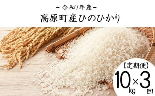 【令和7年産 新米】宮崎県高原町産 ひのひかり白米 定期便10kg×3ヶ月（計30kg） TF00857-P00079
