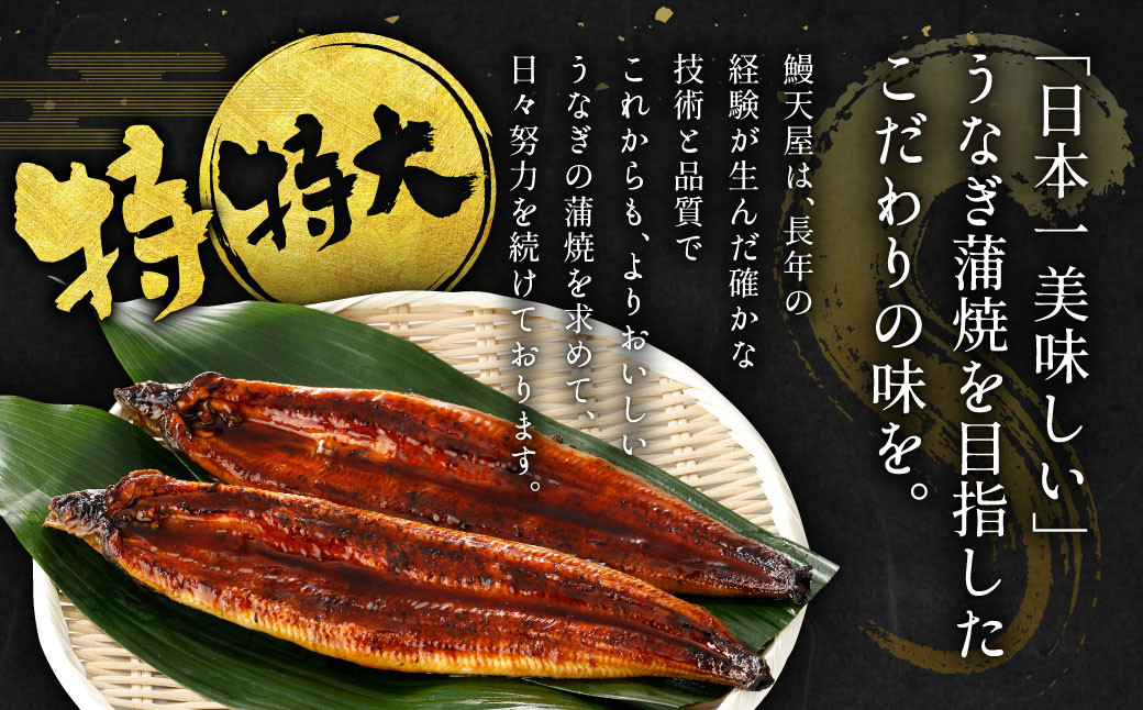 九州産 うなぎ蒲焼 特特大2尾 (1尾あたり250～266g)