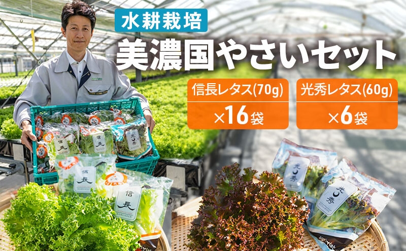 美濃国やさいセット｜野菜 野菜セット レタス フリルレタス 水耕栽培 安全 安心 衛生的 新鮮 シャキシャキ 産地直送 サラダ サンドイッチ 詰合せ