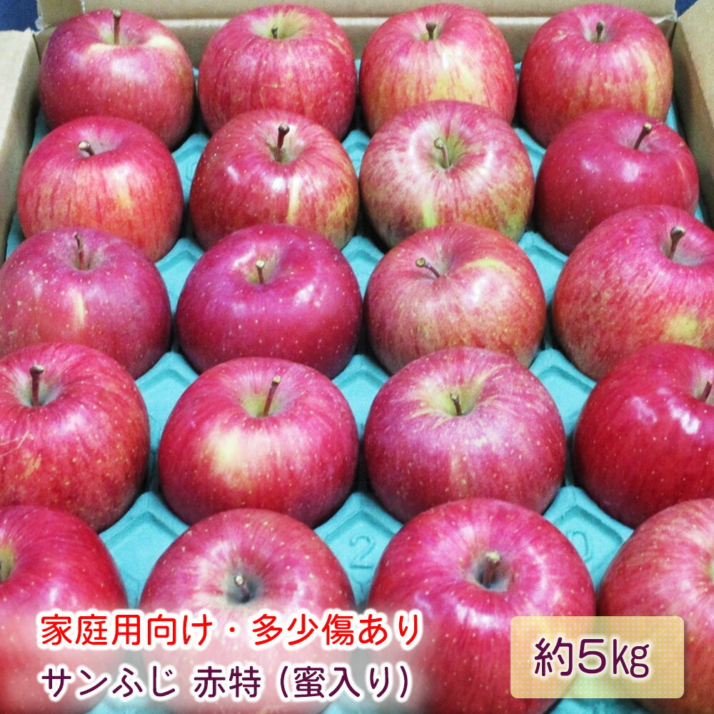 【ふるさと納税】[家庭用向け・多少傷あり] サンふじ りんご 赤特(蜜入り) 約5kg(20玉)｜青森産 つがる 津軽 リンゴ 林檎 果物 フルーツ サンフジ 2025年 令和7年 [0718]