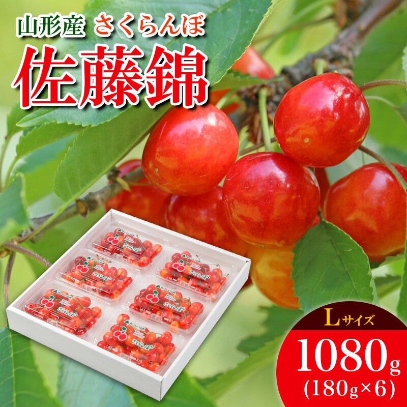 【ふるさと納税】高評価 さくらんぼ 佐藤錦 L 1080g (180g×6パック) 【令和8年産先行予約】FS25-532 くだもの 果物 フルーツ 山形 山形県 山形市 お取り寄せ 2026年産