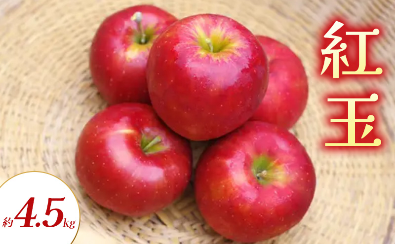 紅玉 約4.5kg りんご リンゴ 林檎 果物 フルーツ 長野県 長野 山ノ内町