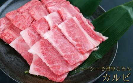 しまね和牛 焼肉用3種セット （肩ロース、カルビ、モモ）セット 900g 【黒毛和牛 おすすめ 冷凍 和牛オリンピック 肉質NO.1】