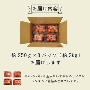 【先行予約】2025年2月発送 ももりこトマト 約2kg(約250g×8パック)　フルーツ トマト 糖度8以上 徳島 甘い 野菜 人気 おすすめ  産地 直送 ふるさと納税 野菜 ヘルシー 健康 小分