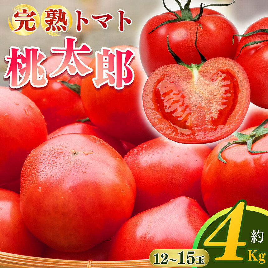 【ふるさと納税】完熟した 栄養 たっぷり 桃太郎 トマト（12～15玉）約4kg | トマト 4kg フルーツトマト トマト リコピン 皮が薄い 食べやすい 甘み 濃厚な味わい 野菜 新鮮 健康 食品 国産 お取り寄せ 奈良県 平群町
