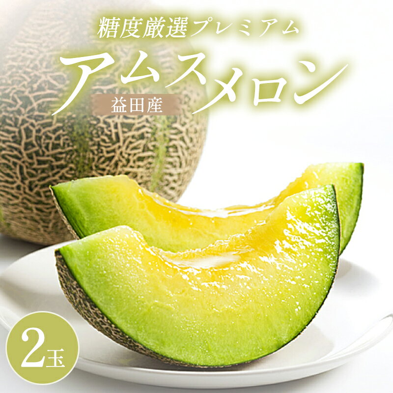 【ふるさと納税】糖度厳選 プレミアム アムスメロン 2玉 メロン 果物 くだもの フルーツ 季節限定 期間限定 糖度16度以上 ギフト 贈答 贈り物 プレゼント