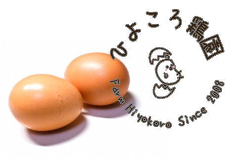 【あずさと四種の地鶏詰め合わせ】あじわいたまごセット 1R01010