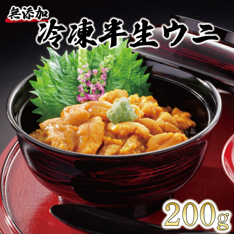 【ふるさと納税】 岩手県産 半生うに 200g 100g×2 冷凍 Sea urchin うに キタムラサキウニ ミョウバン不使用 無添加 雲丹 海鮮丼 寿司 ウニ丼 丼 ご飯 ごはん おかず 晩酌 おつまみ 魚介 刺身 小分け 岩手 三陸 大船渡市