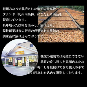 紀州南高梅　昔ながらのしそ漬　家庭用Ｂ級　600ｇ_SF2022