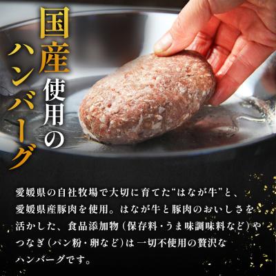 ふるさと納税 西予市 <合挽ハンバーグセット 10個(1個150g)> セット ハンバーグ はんばーぐ 合挽 |  | 02