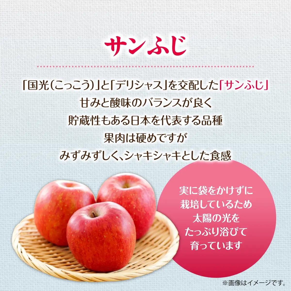 【ふるなびWEEK対象】【先行予約】＜2026年12月上旬よりお届け＞北海道壮瞥町　【訳あり】りんご　品種名「サンふじ」約10kg SBTF030