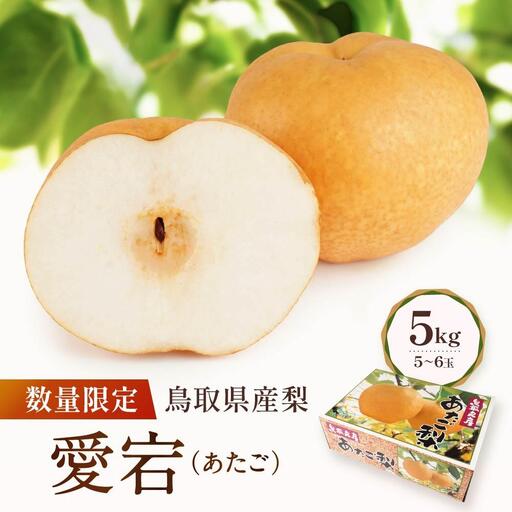 【先行予約】数量限定 鳥取県産梨 愛宕（あたご） 5kg（5～6玉）