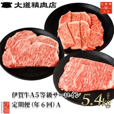 【2ヵ月毎定期便】伊賀牛 A5サーロイン 定期便コースA  総合計5.4kg 全6回