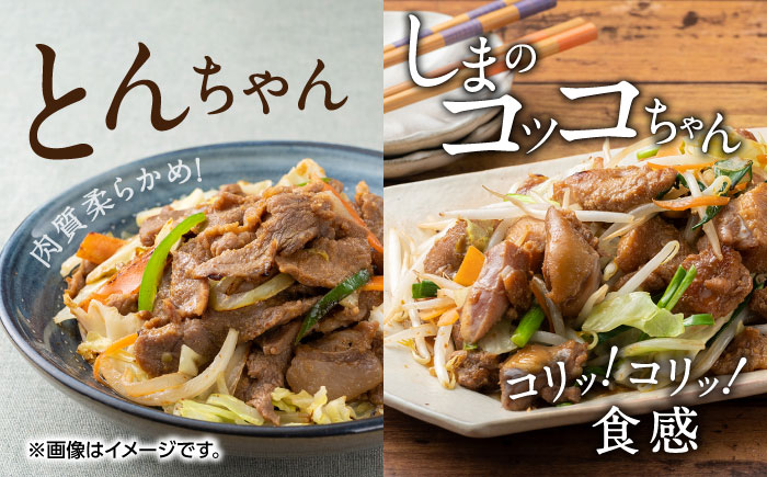 対馬 グルメ 大満喫セット（8品目）《対馬市》【株式会社サイキ】村元とんちゃん 平和とんちゃん 鶏のいりやき  対州そば 黄金あなご の あなご重 あおさ あじの開き しまのコッコちゃん [WAX00