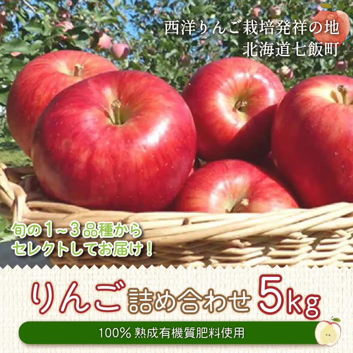 【先行予約】令和8年8月下旬頃より発送 北海道七飯町産 りんご 5kg 有機質肥料使用 NAR002