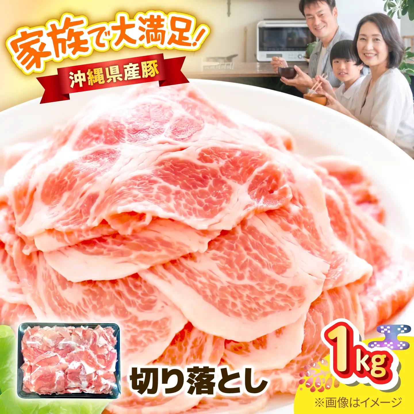 沖縄県産豚肉 切り落とし 1kg BCEQ005 豚肉