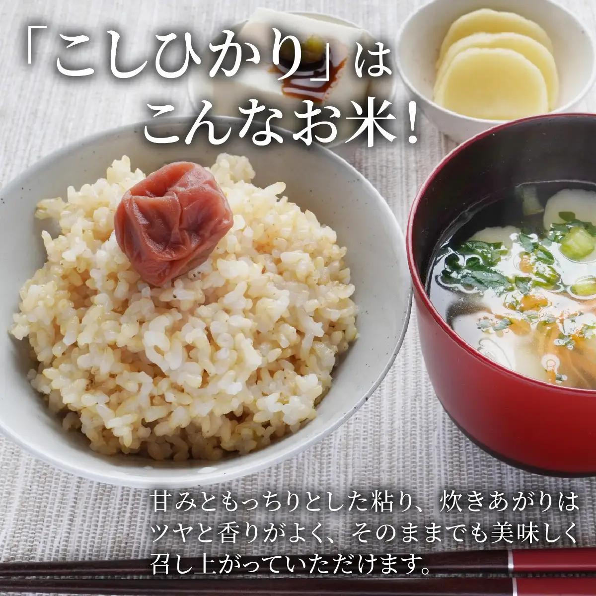 玄米 南さんちのこしひかり 10kg 玄米 【令和8年産】【有機JAS認証米】