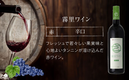 霧里ワイン 赤ワイン 辛口 やや甘口 750ml×各1本 ワイン 受賞 飲み比べ ワインセット ギフト 三次市 / 広島三次ワイナリー[APAZ003]